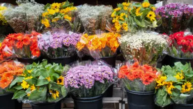 How to do flower business in Hindi