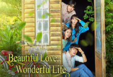 Beautiful Love Wonderful Life K-Drama Review in Hindi