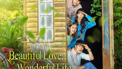 Beautiful Love Wonderful Life K-Drama Review in Hindi