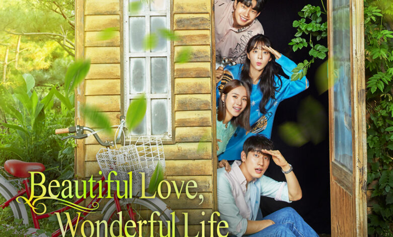 Beautiful Love Wonderful Life K-Drama Review in Hindi