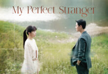 My Perfect Stranger K-Drama Review in Hindi