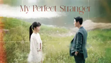 My Perfect Stranger K-Drama Review in Hindi