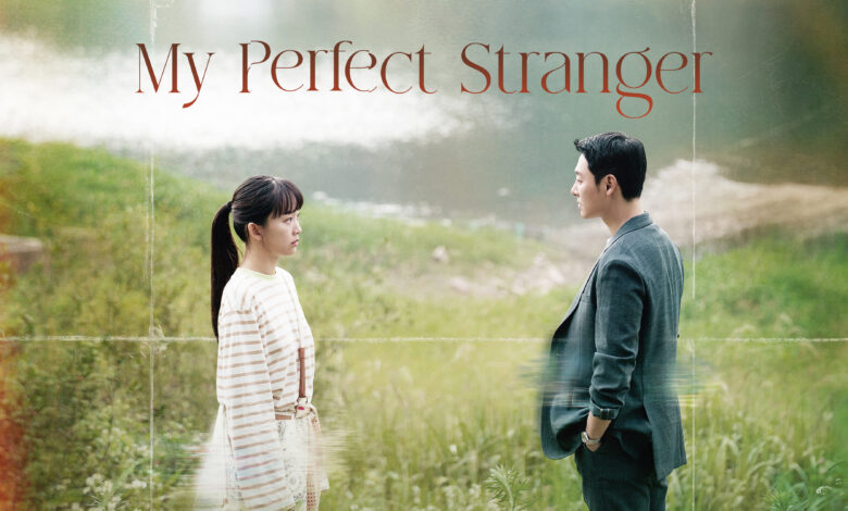 My Perfect Stranger K-Drama Review in Hindi