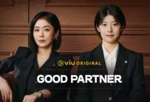 Good Partner K-Drama Review in Hindi