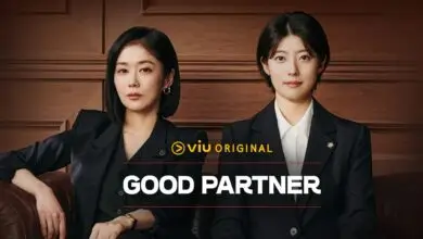 Good Partner K-Drama Review in Hindi