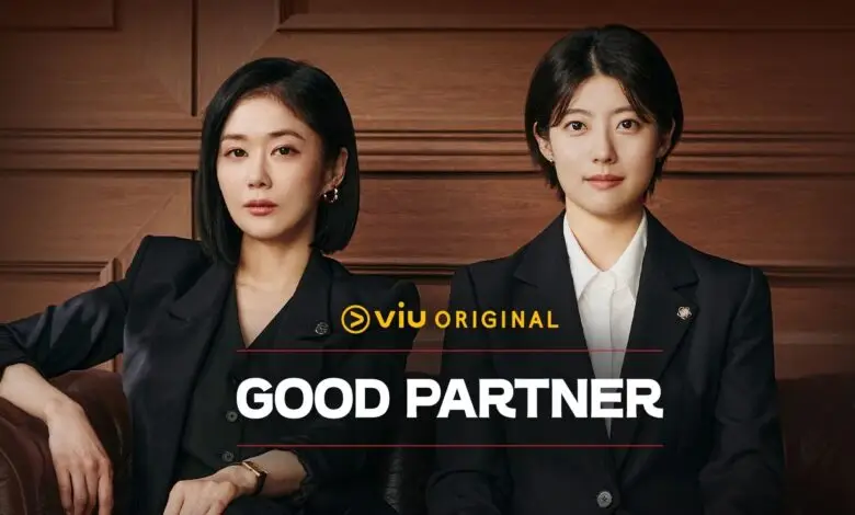 Good Partner K-Drama Review in Hindi