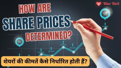 Share prices determined: शेयरों की कीमतें कैसे निर्धारित होती हैं?